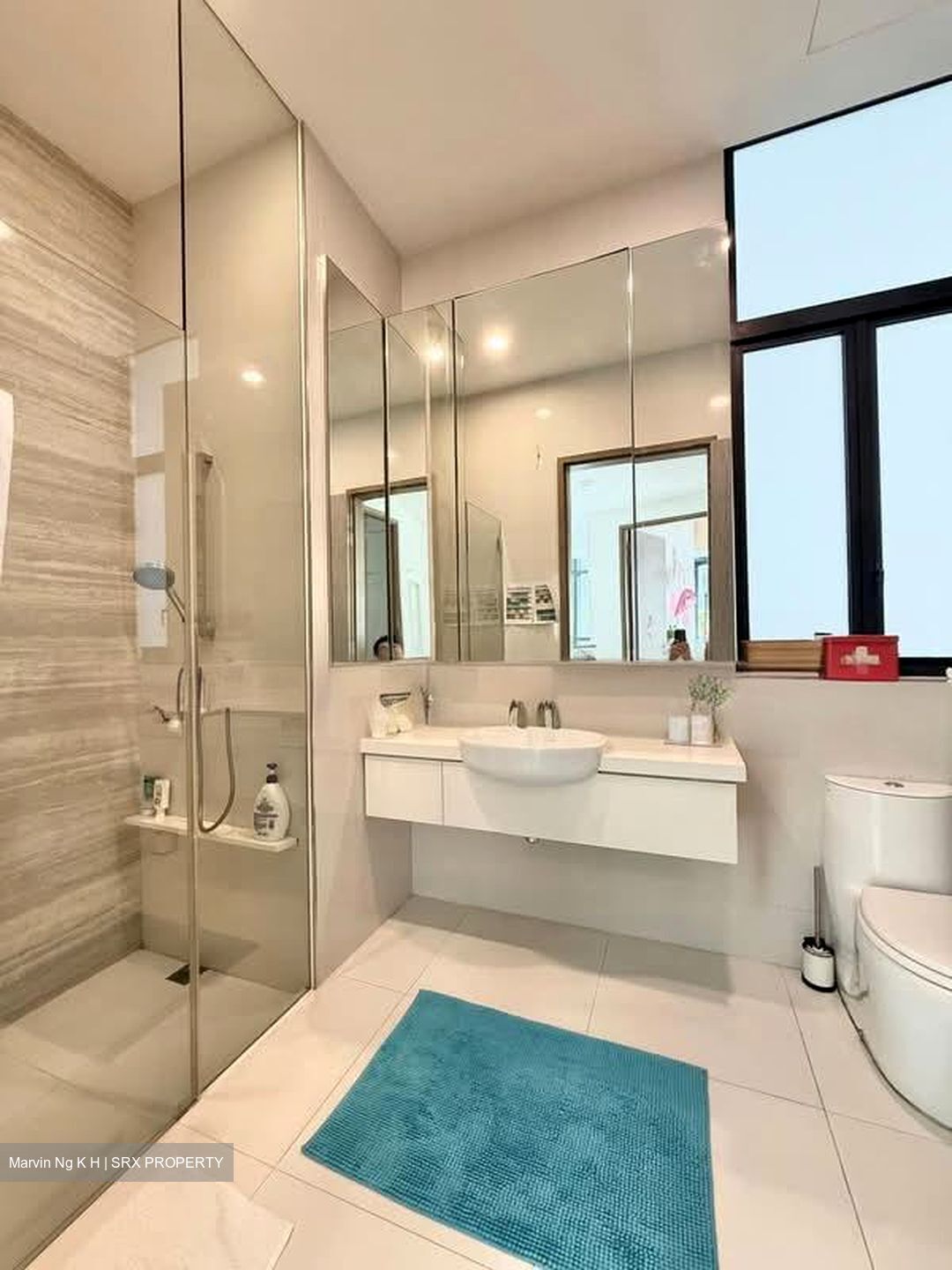 D'Leedon (D10), Condominium #559697671